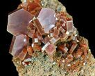 Large Ruby Red Vanadinite Crystals - Morocco #51285-1